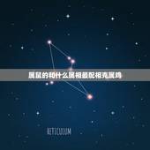 属鼠的和什么属相最配相克属鸡，属马的和什么属相最配