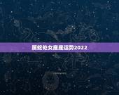 属蛇处女座座运势2022，属蛇男性处女座今年下半年的运程