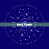 最旺属兔的植物，属兔家里放什么招财