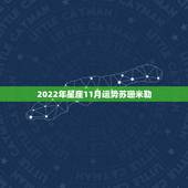 2022年星座11月运势苏珊米勒，苏珊米勒处女座2014年12星座11