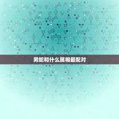 男蛇和什么属相最配对，蛇男和猴女配吗 详细