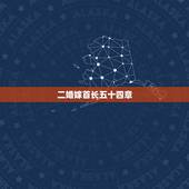 二婚嫁首长五十四章，求《大隋皇帝》五十四章以后的内容，最好是全集