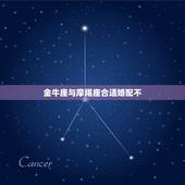 金牛座与摩羯座合适婚配不，金牛座的男生和魔蝎座的女生配吗？