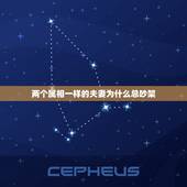 两个属相一样的夫妻为什么总吵架，两个人的属相般配为什么说正事就要吵架这