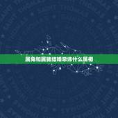 属兔和属猪结婚忌讳什么属相，属兔的忌讳什么属相当伴娘