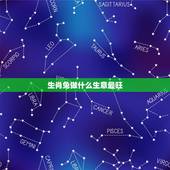 生肖兔做什么生意最旺 属兔忌讳做什么生意