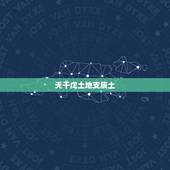 天干戊土地支辰土，天干壬地支辰