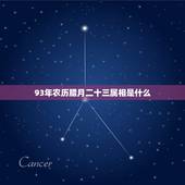 93年农历腊月二十三属相是什么，男1993年腊月二十三23点27分生的