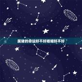 属猪的命运好不好婚姻好不好，属猪和属猪的婚姻怎么样