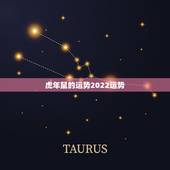 虎年鼠的运势2022运势，鼠遇牛年2022 年怎么样