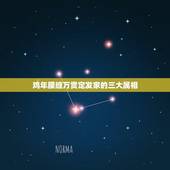 鸡年腰缠万贯定发家的三大属相，腰缠万贯四十亿，八九不谐听天意是什么生肖