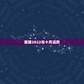 属猪2022年十月运势，2022年属猪佩戴什么
