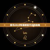 属马2022年谁都躲不过的劫难，未来十年走大财运的生肖