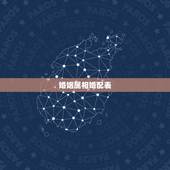 婚姻属相婚配表，属相婚配