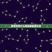 属兔的和什么属相最配最合适，属兔配什么生肖更好