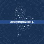 辰时出生的男孩五行属什么，出生时辰五行查询表及属相查询