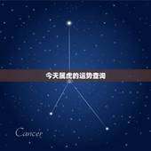 今天属虎的运势查询，属虎的今天打麻将财运哪个方向