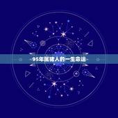 95年属猪人的一生命运，95年属猪26岁命运