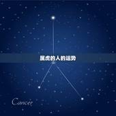 属虎的人的运势，属虎人2009年运程