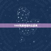 1955年属相是什么生肖，1955年五行属相是什么？