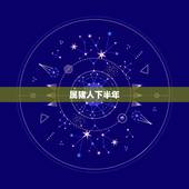 属猪人下半年，2021属猪人全年运势