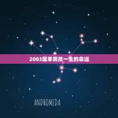 2003属羊男孩一生的命运，男的属羊的命不好吗