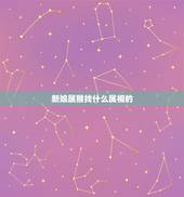 新娘属猴找什么属相的，新娘属蛇新郎属猴 应该找什么属相的伴娘