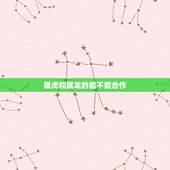 属虎和属龙的能不能合作，属虎人和属龙人合作