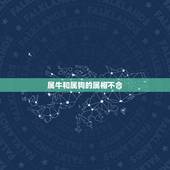 属牛和属狗的属相不合，属牛和属狗的八字和不合