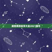 庞姓男孩名字大全2021属牛，庞姓男孩取名