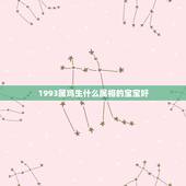 1993属鸡生什么属相的宝宝好，女属鸡生余1993年，2月初三生，命好