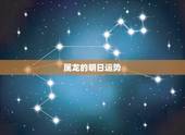 属龙的明日运势，属龙2021年运势
