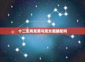 十二生肖龙男与龙女能婚配吗，属龙男和属龙女能婚配吗