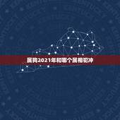 属狗2021年和哪个属相犯冲，属狗2021年犯太岁佩戴什么化解