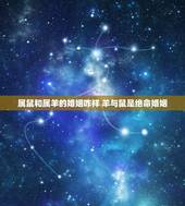 属鼠和属羊的婚姻咋样 羊与鼠是绝命婚姻