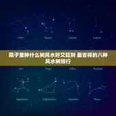 院子里种什么树风水好又旺财 最吉祥的八种风水树排行