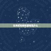 生肖蛇的婚配属相是什么，属蛇的和什么属相最配 揭秘最佳婚配表