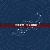 十二地支是十二个属相吗，十二生肖十二个时辰哪个生肖对应哪个时辰！