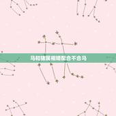 马和猪属相婚配合不合马，属猪和属马合不合