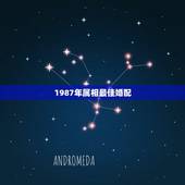 1987年属相最佳婚配，87年属兔生肖配对