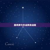 属鸡男今天运势及运程，81年属鸡男2021年运势及运程