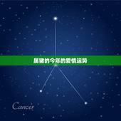 属猪的今年的爱情运势，2022 年属猪6月爱情运势