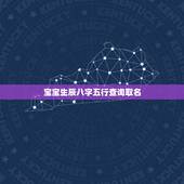 宝宝生辰八字五行查询取名，起名，八字五行查询