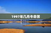 1997年几月牛命苦，1997属牛的命怎样，一生的呢
