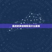 属虎的更佳婚配是什么属相，属虎的和什么属相最配