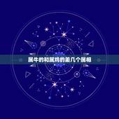 属牛的和属鸡的差几个属相，属鸡的和属牛的配吗