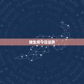 猪生肖今日运势，属相猪2009年运程