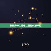 老鼠为什么是十二属相的第一位，属老鼠的命运怎么样