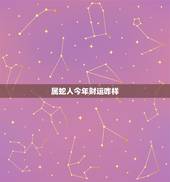 属蛇人今年财运咋样，65年属蛇j今日财运
