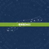 蛇年在2022 年运势如何，龙年人在2022 年运势